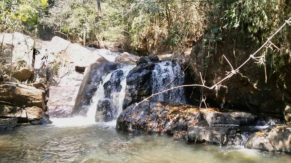 Fazenda-Sítio-Chácara, 100 m² - Foto 4
