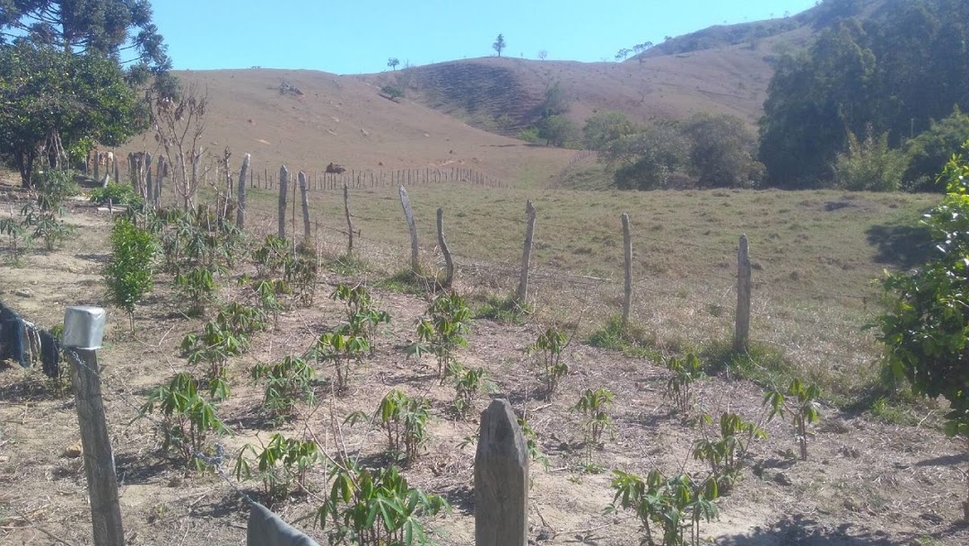 Fazenda, 100 m² - Foto 2