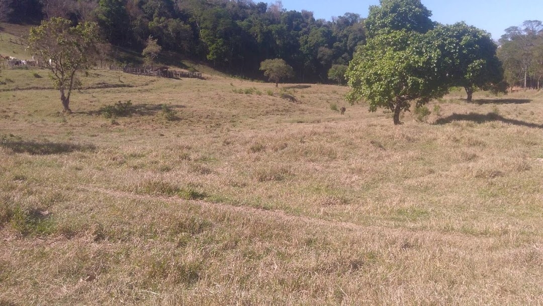 Fazenda em Cunha/São Paulo — Ref TE2FTD — Imagem 9