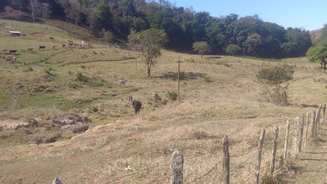 Fazenda em Cunha/São Paulo — Ref TE2FTD — Imagem 8