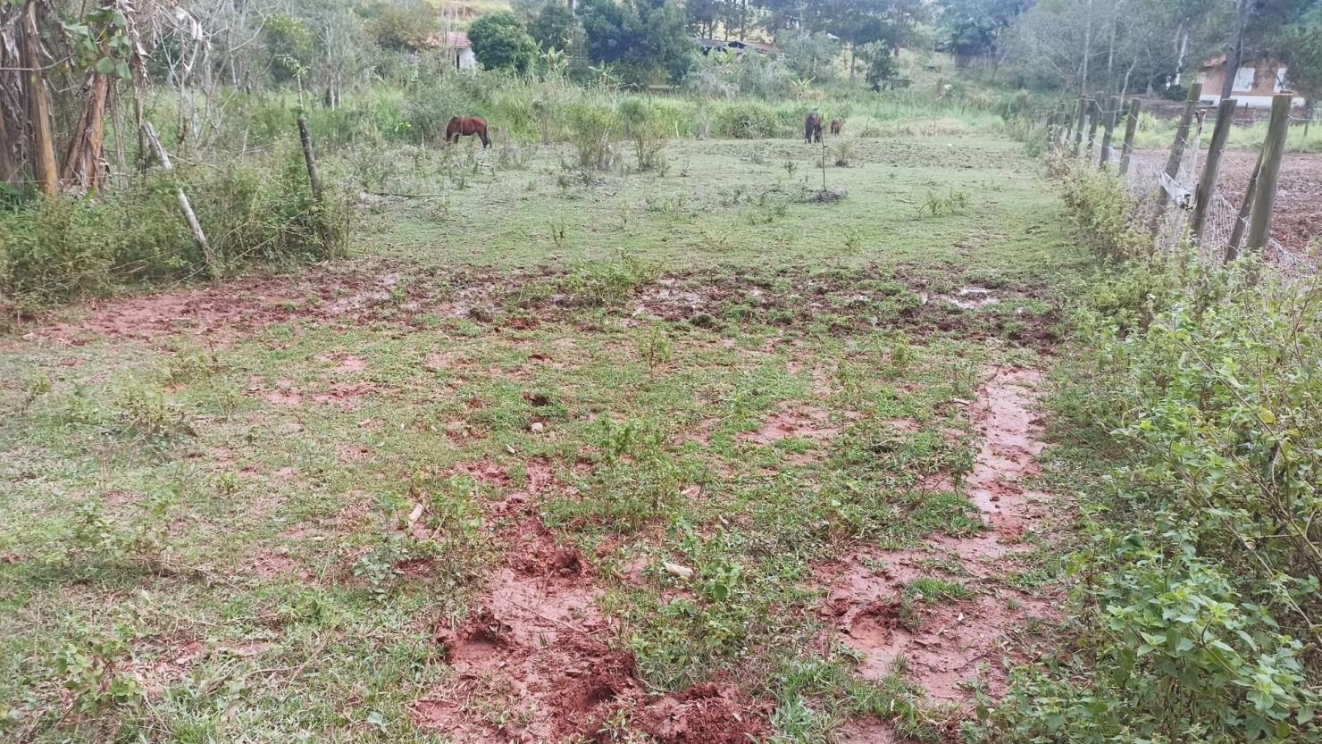 Sítio, 3 quartos, 300 m² - Foto 4