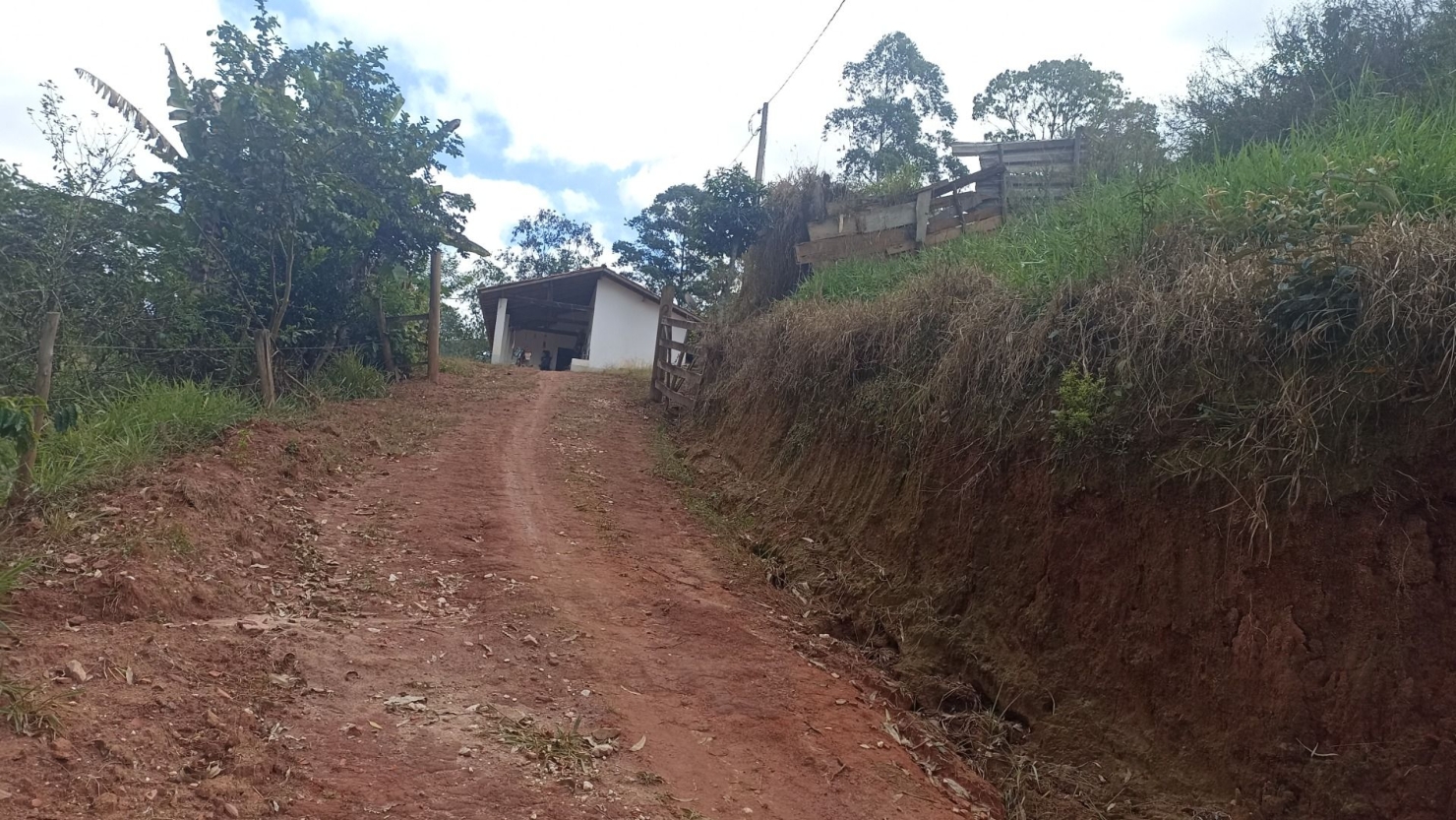 Sítio, 3 quartos, 300 m² - Foto 5