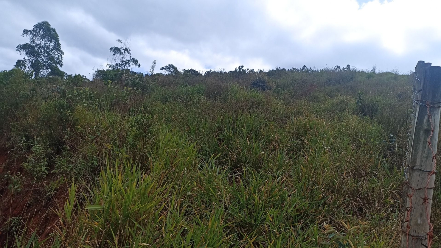 Sítio, 3 quartos, 300 m² - Foto 6