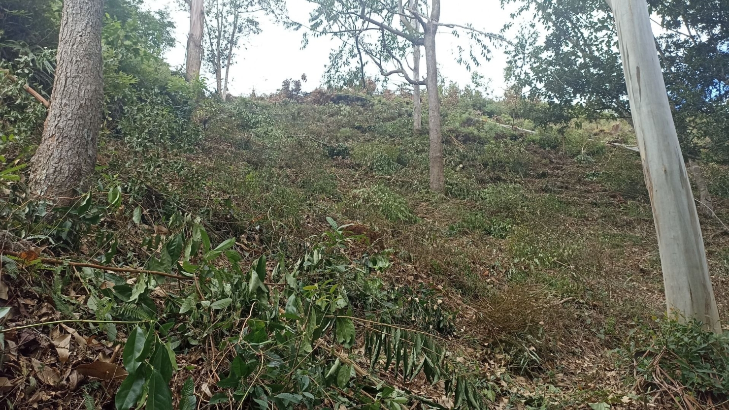 Sítio, 3 quartos, 300 m² - Foto 8