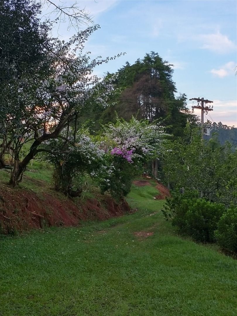 Sítio, 3 quartos, 300 m² - Foto 17