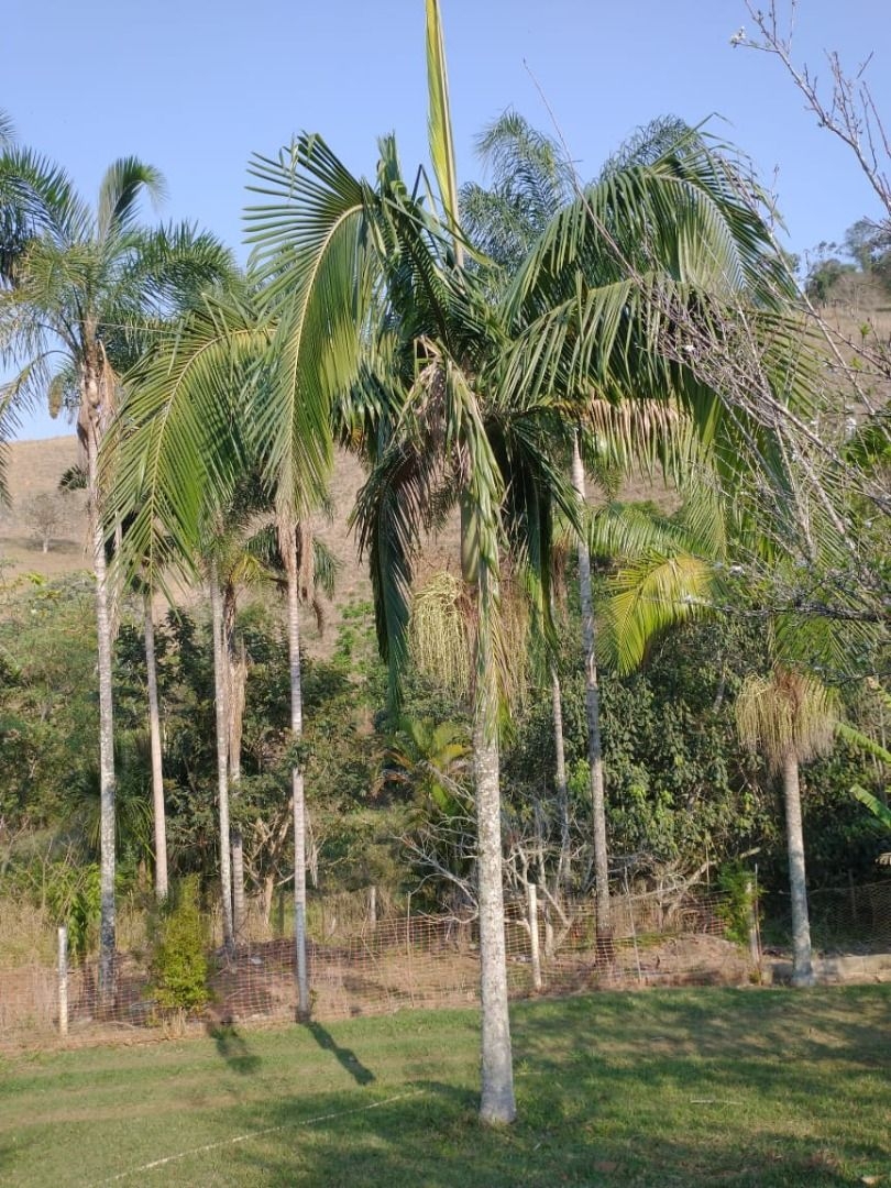 Sítio, 3 quartos, 300 m² - Foto 19