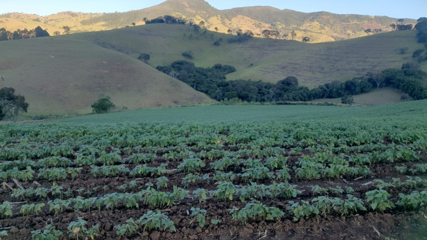 Sítio, 1 quarto, 1 m² - Foto 1