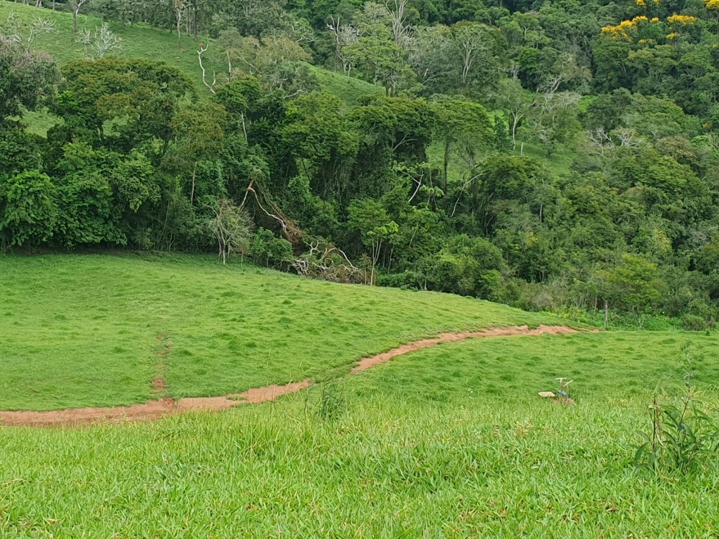 Sítio, 1 quarto, 1 m² - Foto 2