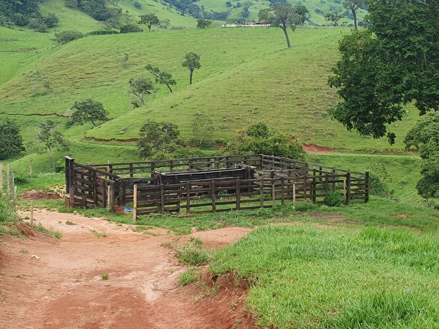 Sítio, 1 quarto, 1 m² - Foto 5