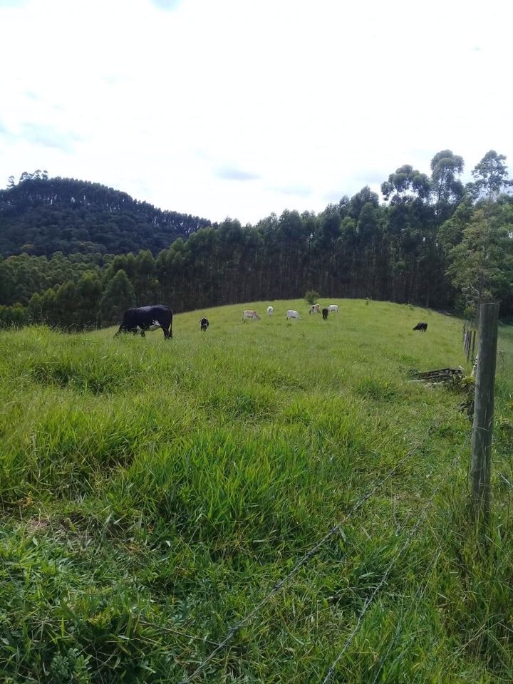 Chácara em São Luíz do Paraitinga/São Paulo — Ref J1EKPT — Imagem 8