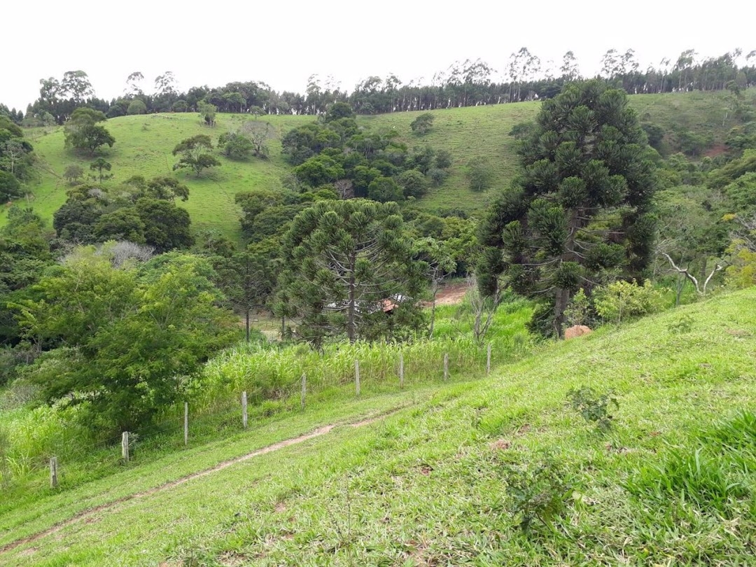 Sítio, 2 quartos, 150 m² - Foto 5