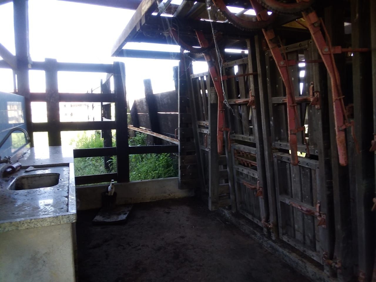 Sítio, 5 quartos, 200 m² - Foto 4