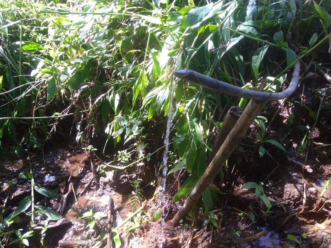 Sítio em São Luíz do Paraitinga/São Paulo — Ref BGZS71 — Imagem 22