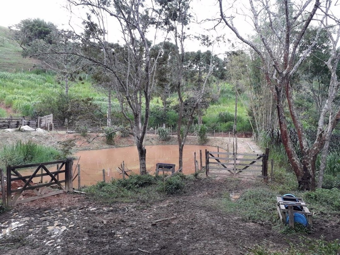 Sítio, 2 quartos, 150 m² - Foto 3