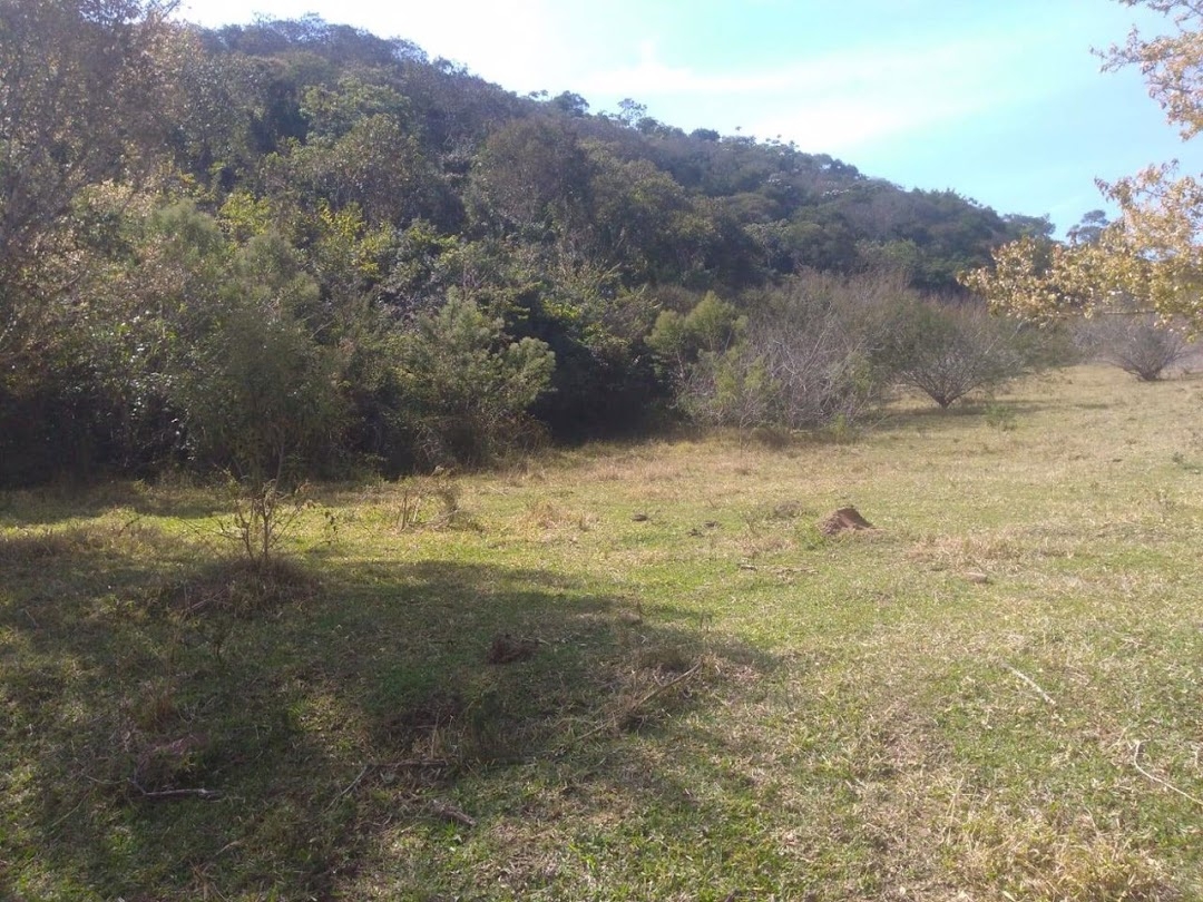 Sítio em São Luíz do Paraitinga/São Paulo — Ref BGZS71 — Imagem 18