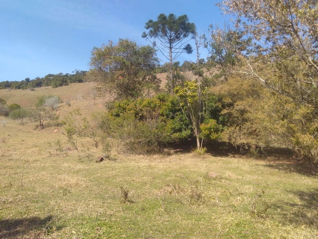 Sítio em São Luíz do Paraitinga/São Paulo — Ref BGZS71 — Imagem 24