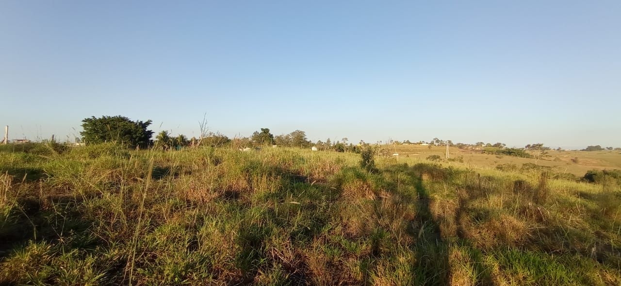 Terreno, 3 hectares - Foto 3