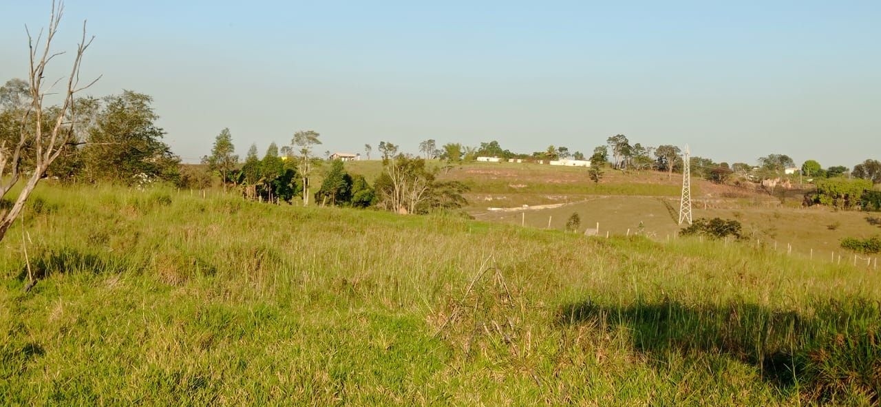 Terreno, 3 hectares - Foto 1