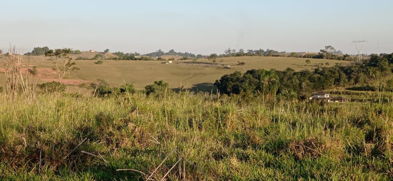 Terreno, 3 hectares - Foto 4