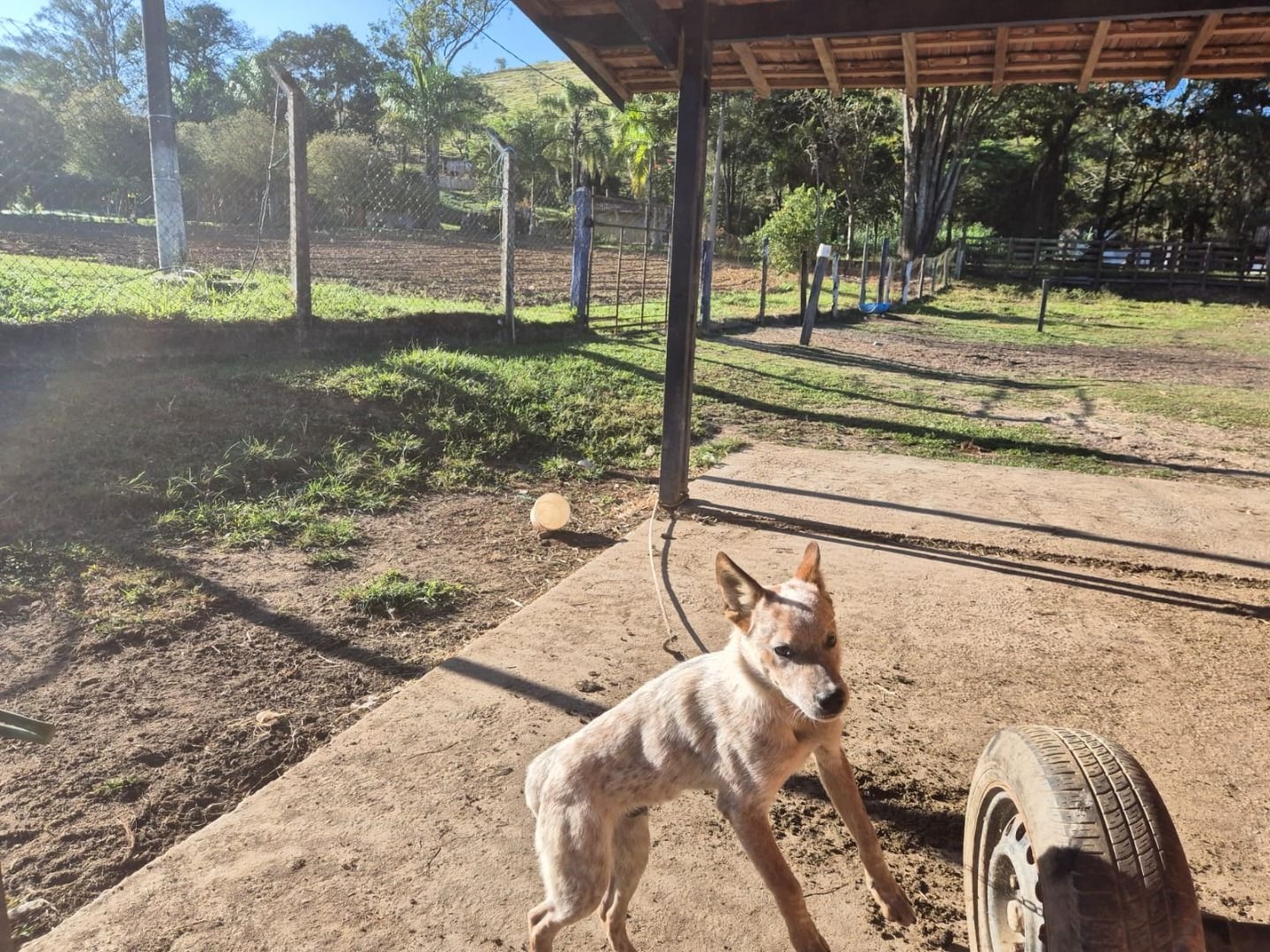 Sítio, 3 quartos, 200 m² - Foto 9