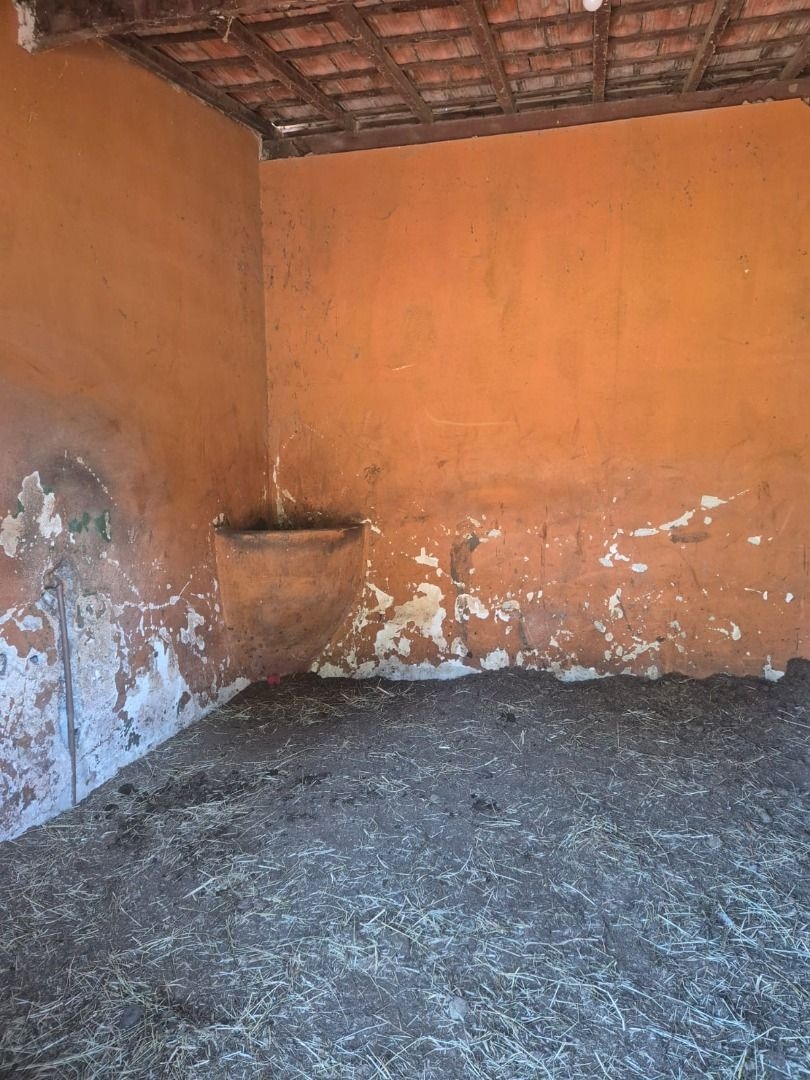 Sítio, 3 quartos, 200 m² - Foto 11