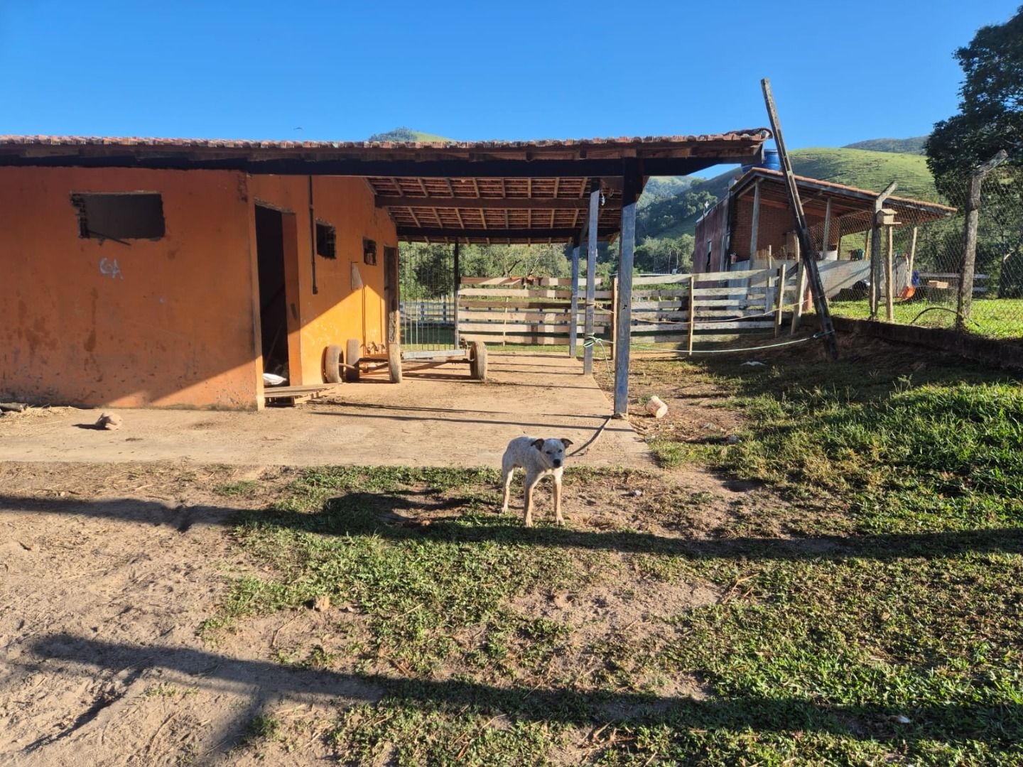 Sítio, 3 quartos, 200 m² - Foto 12