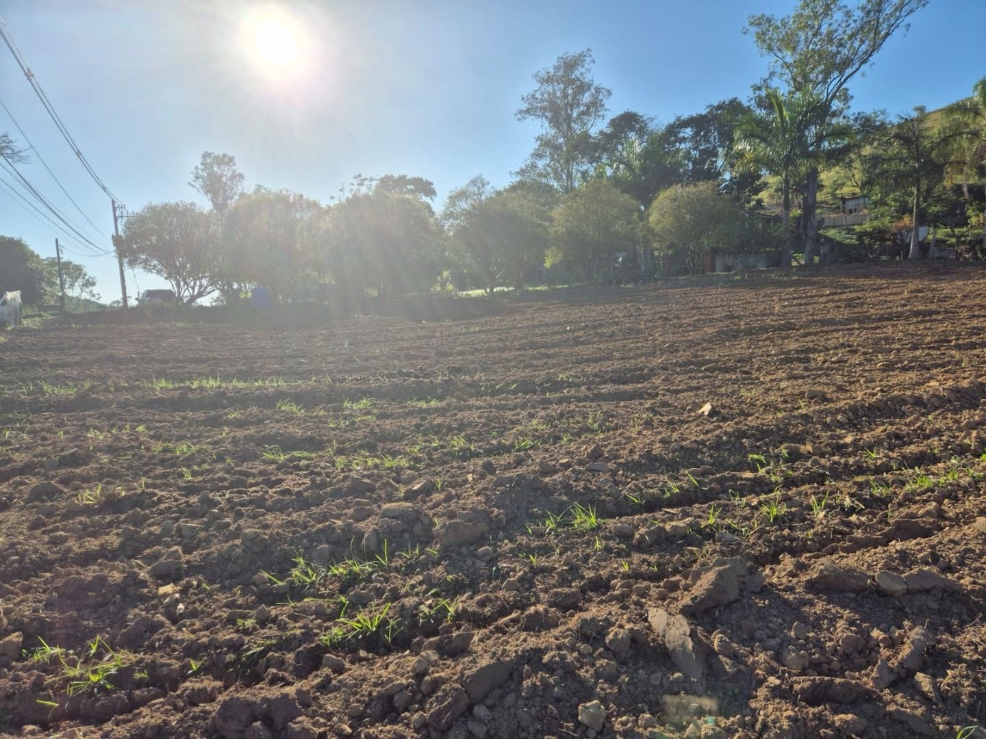 Sítio, 3 quartos, 200 m² - Foto 15