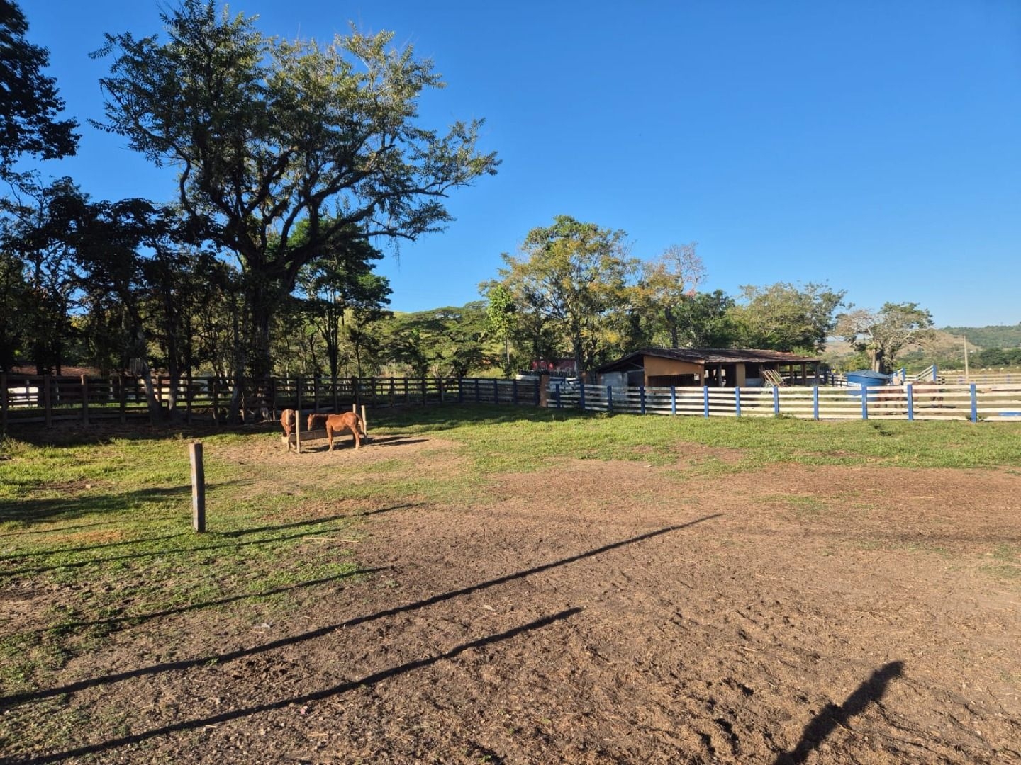 Sítio, 3 quartos, 200 m² - Foto 17