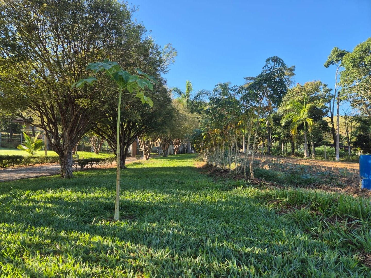 Sítio, 3 quartos, 200 m² - Foto 18