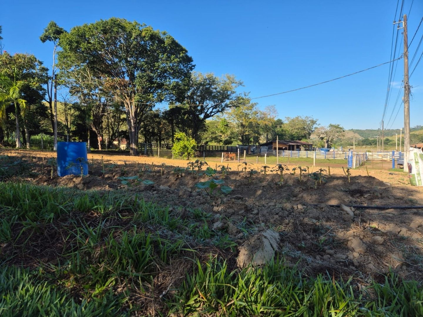 Sítio, 3 quartos, 200 m² - Foto 19