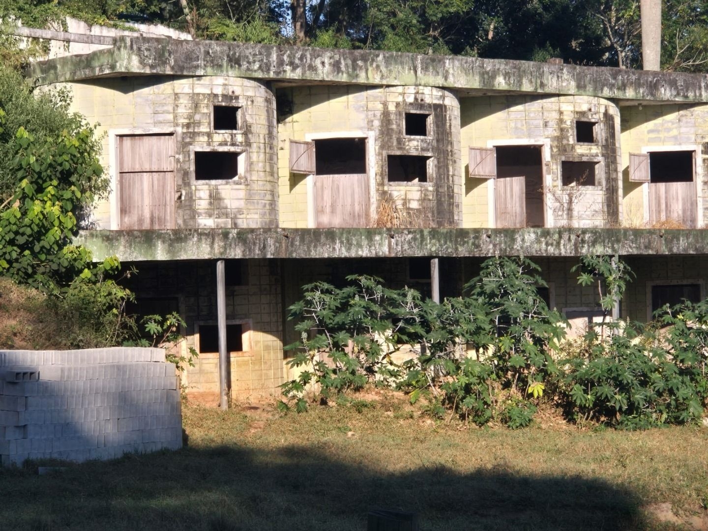 Sítio, 3 quartos, 200 m² - Foto 25