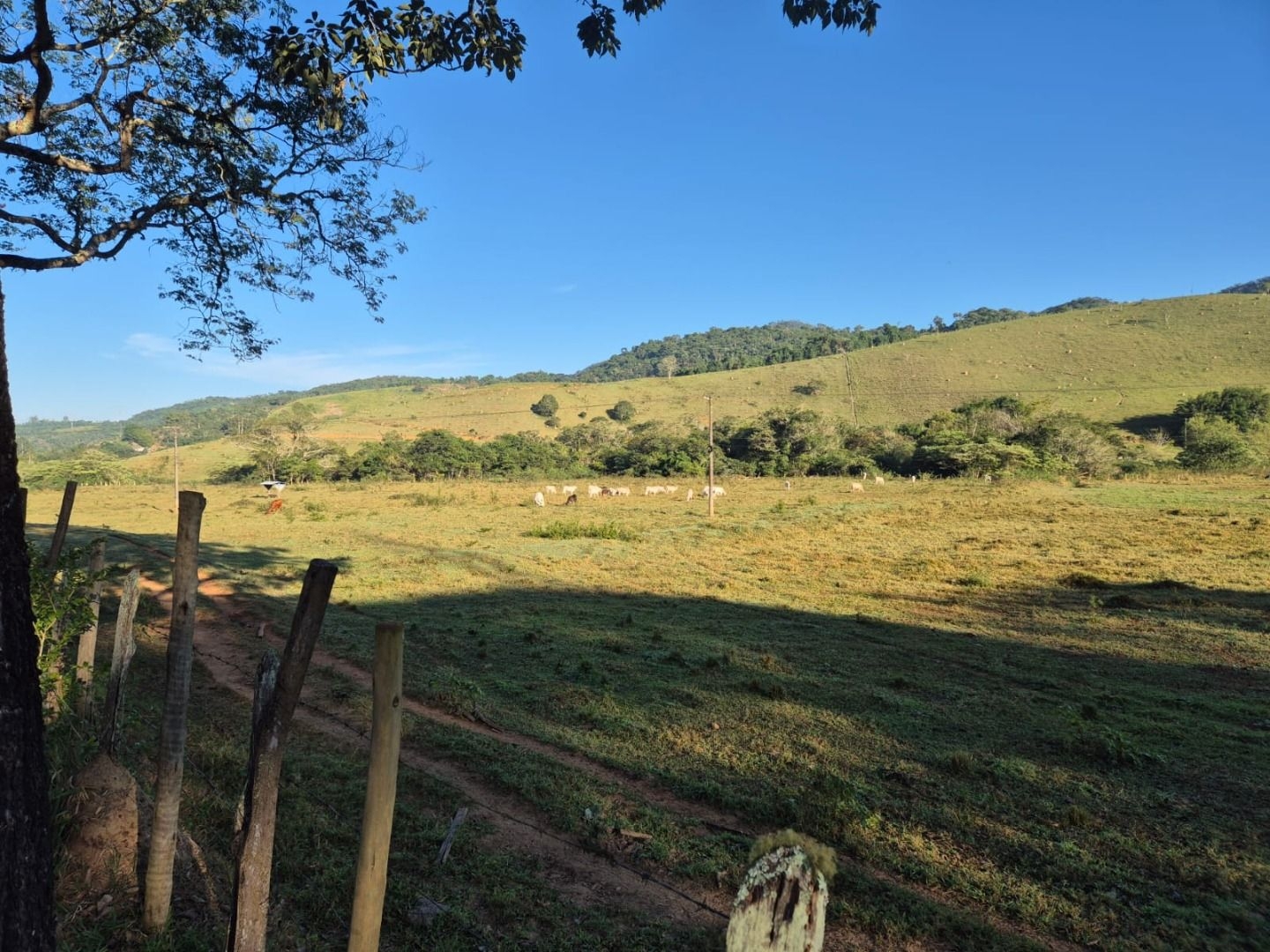 Sítio, 3 quartos, 200 m² - Foto 35