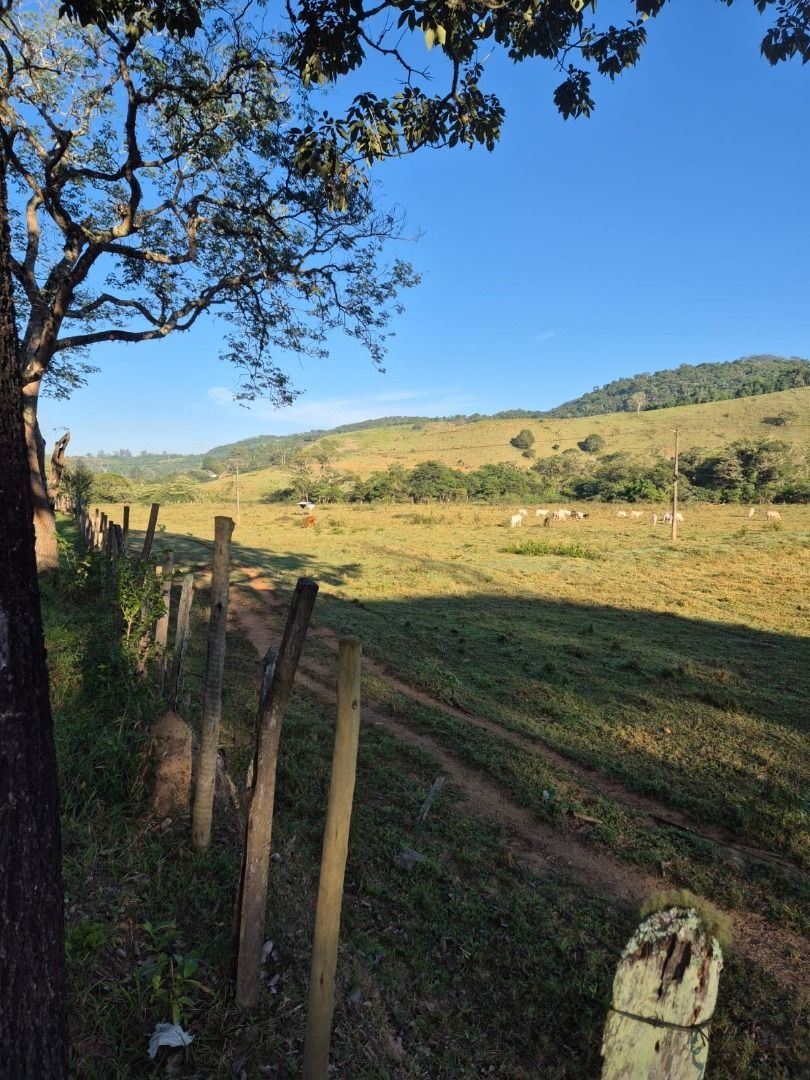 Sítio, 3 quartos, 200 m² - Foto 37