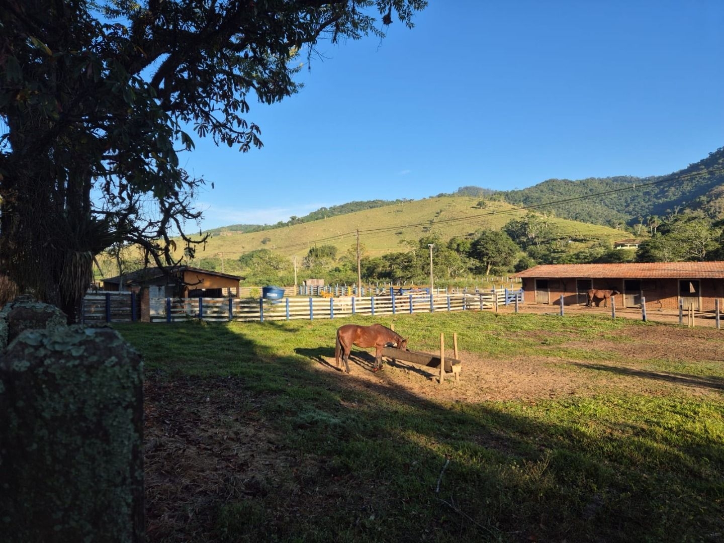 Sítio, 3 quartos, 200 m² - Foto 42