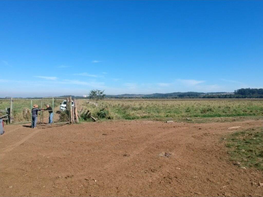Fazenda-Sítio-Chácara, 446 hectares - Foto 4