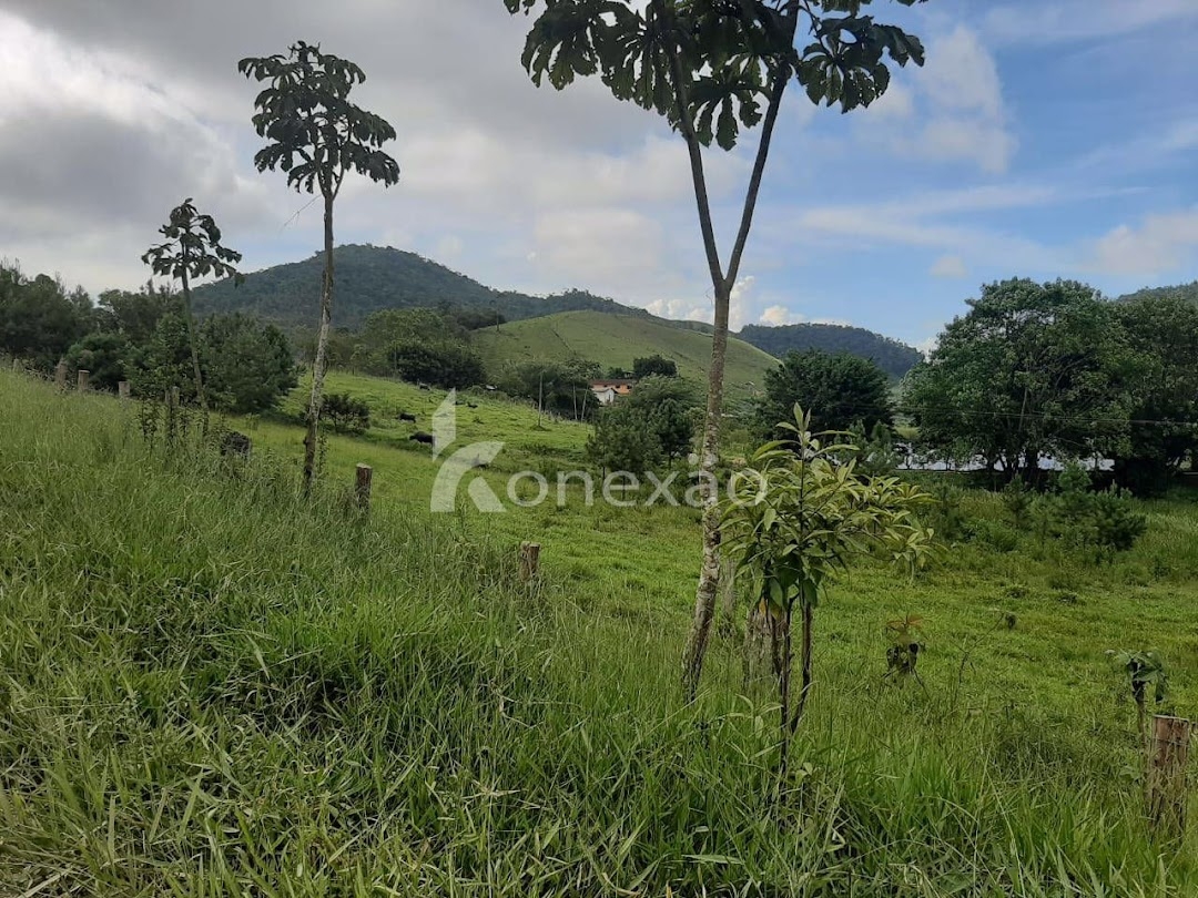 Fazenda-Sítio-Chácara, 600 m² - Foto 3