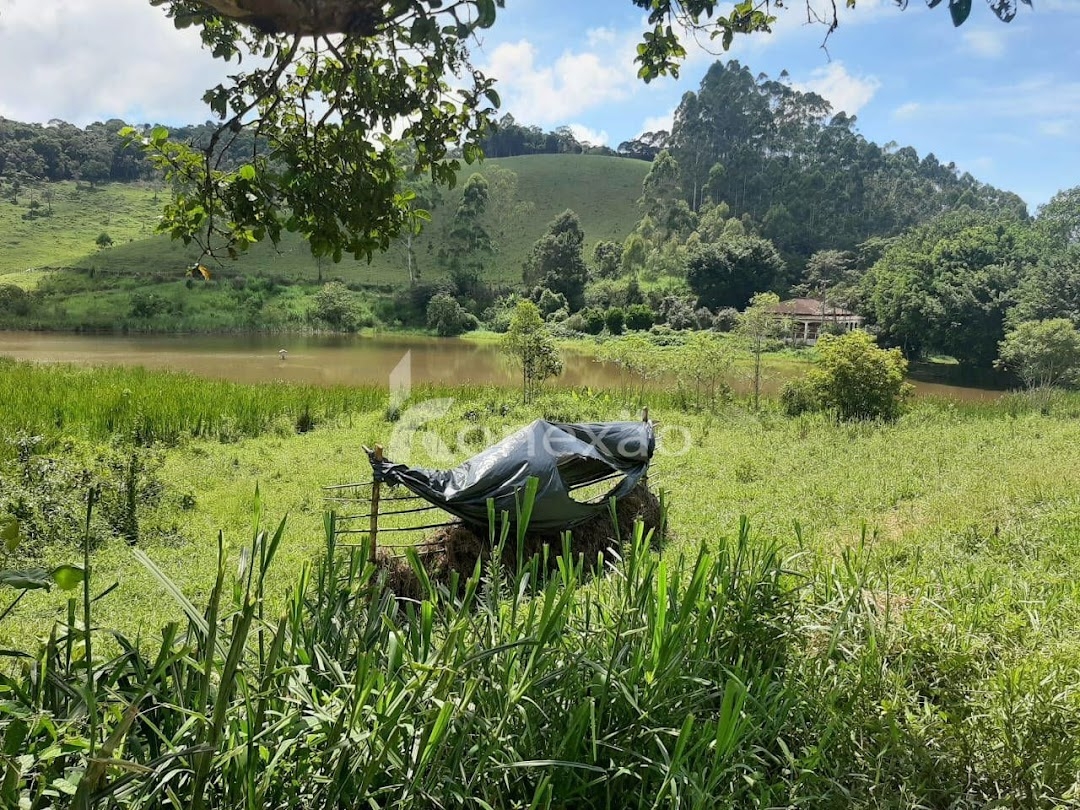Fazenda-Sítio-Chácara, 600 m² - Foto 5