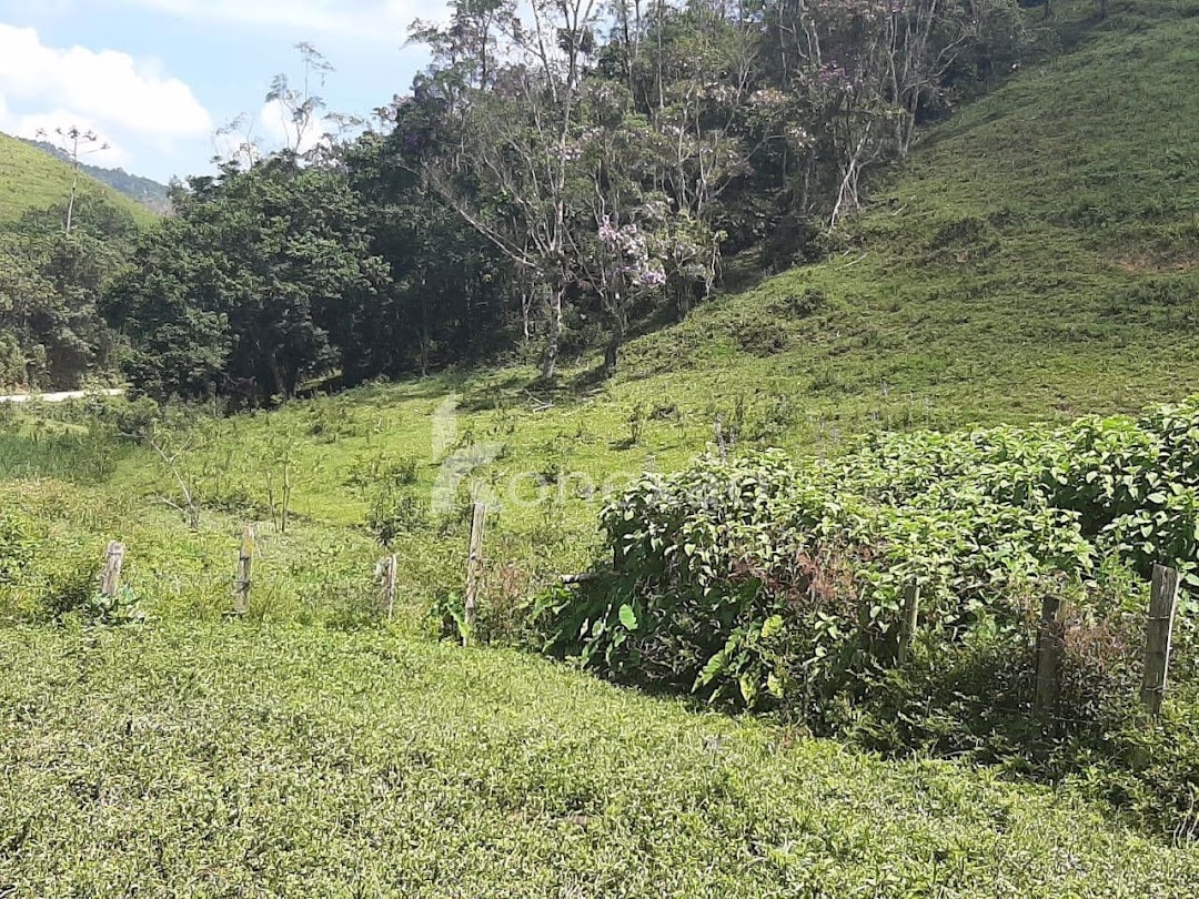 Fazenda em Natividade da Serra/São Paulo — Ref 7XX0H5 — Imagem 13