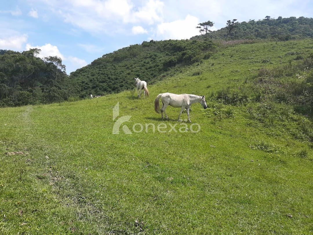 Fazenda em Natividade da Serra/São Paulo — Ref 7XX0H5 — Imagem 20