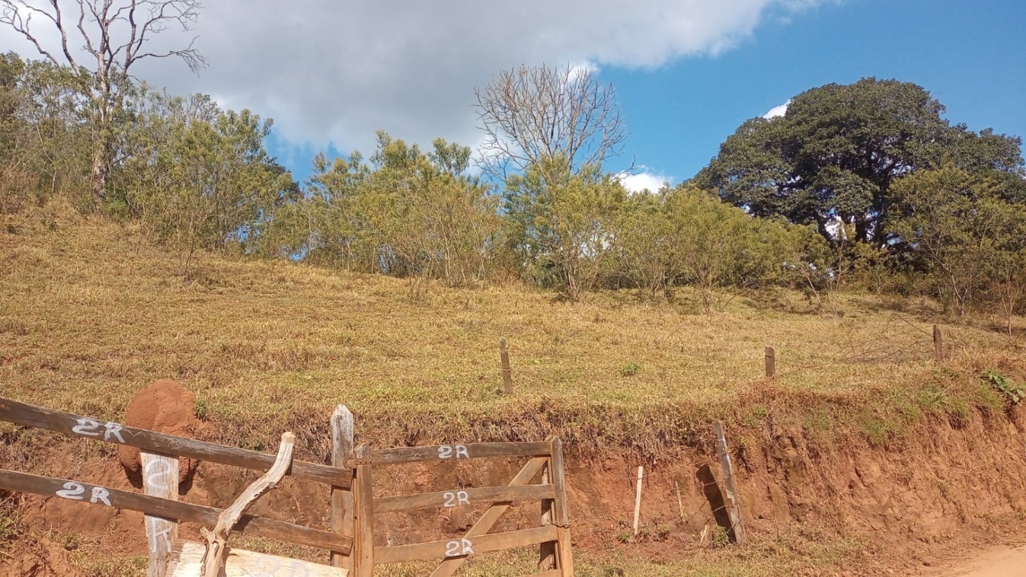 Sítio, 3 quartos, 100 m² - Foto 1