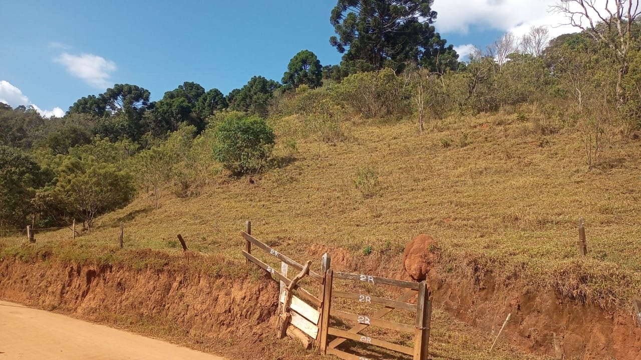 Sítio, 3 quartos, 100 m² - Foto 2