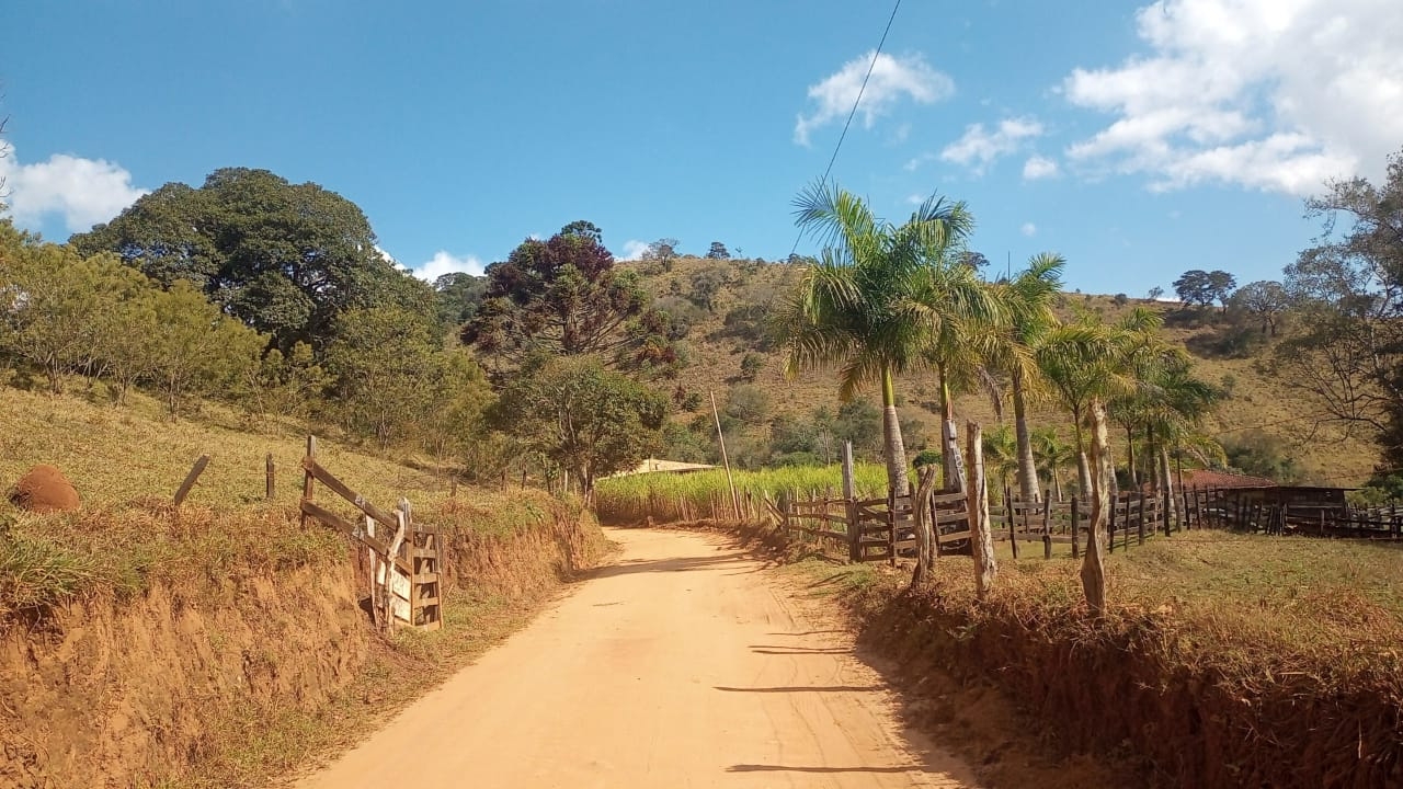 Sítio, 3 quartos, 100 m² - Foto 3