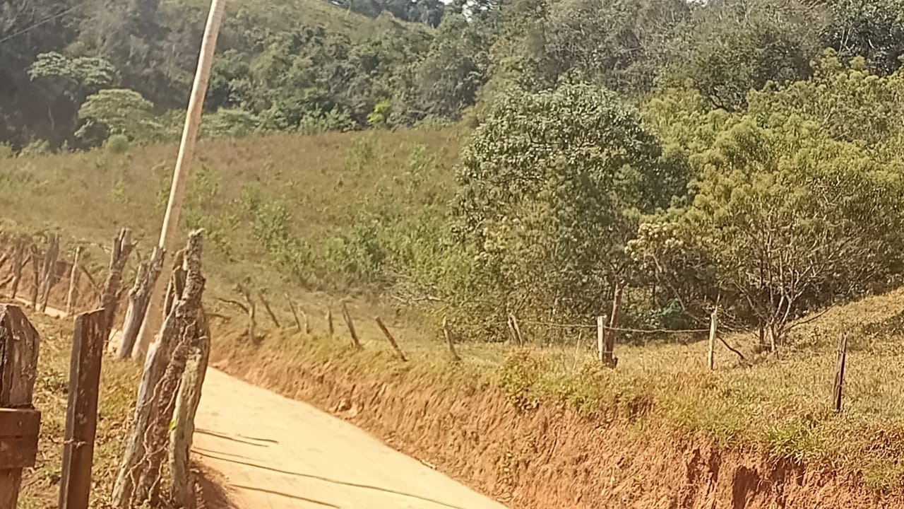 Sítio, 3 quartos, 100 m² - Foto 4