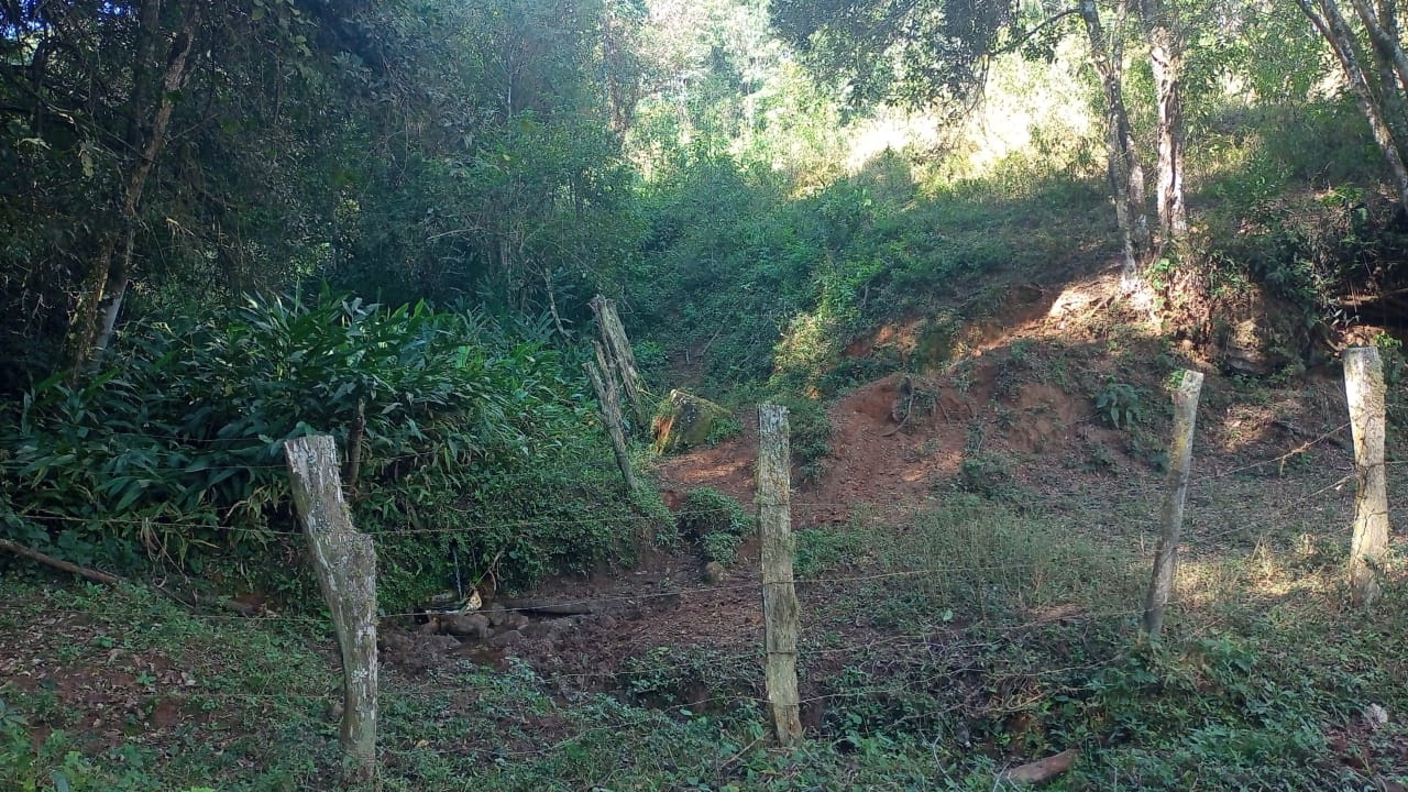 Sítio, 3 quartos, 100 m² - Foto 5