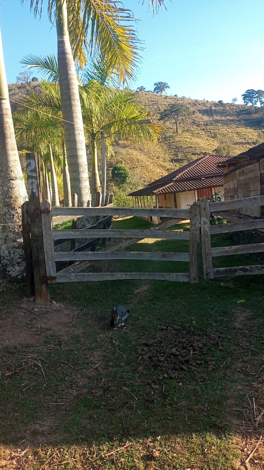 Sítio em Virgínia/Minas Gerais — Ref 1DJ2MY — Imagem 8