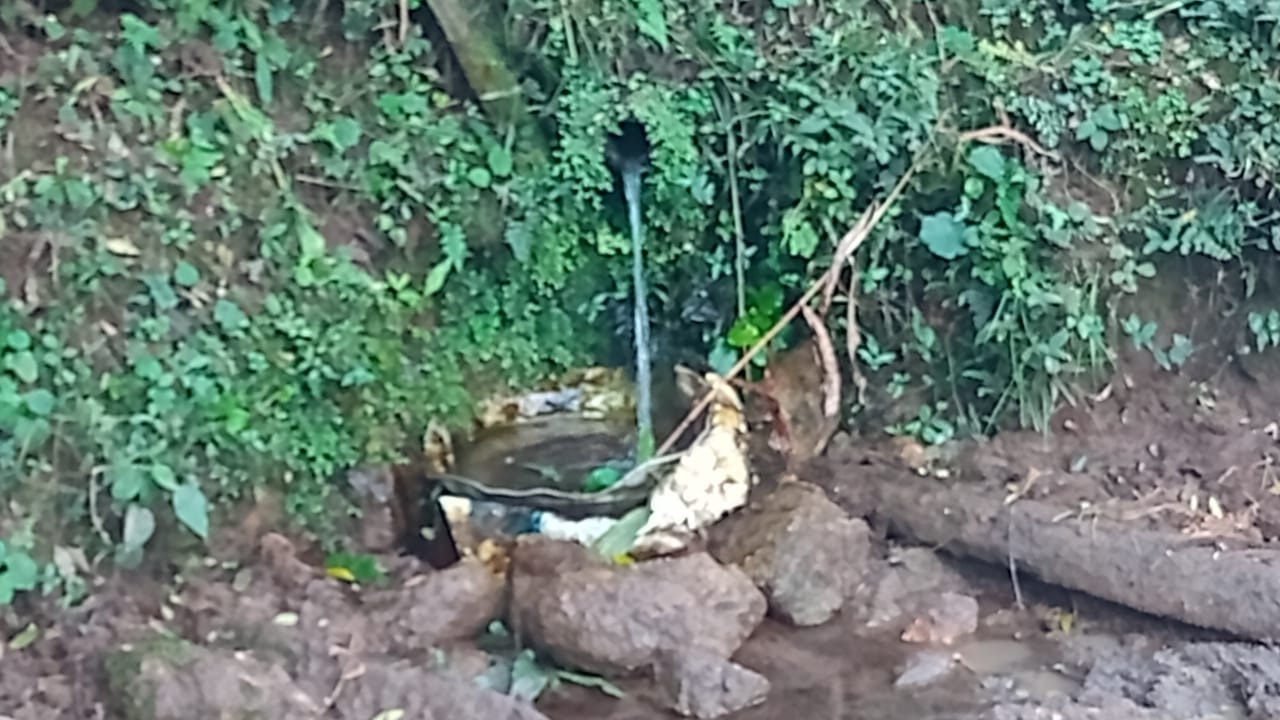 Sítio em Virgínia/Minas Gerais — Ref 1DJ2MY — Imagem 9