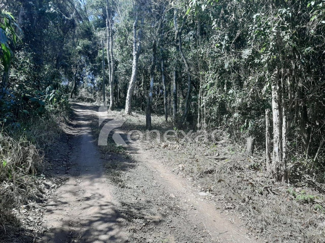 Chácara em Paraibuna/São Paulo — Ref ERZPNF — Imagem 18