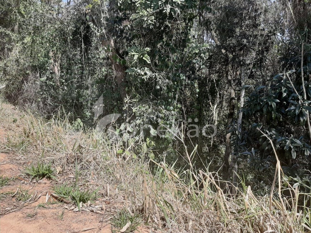 Chácara em Paraibuna/São Paulo — Ref ERZPNF — Imagem 15