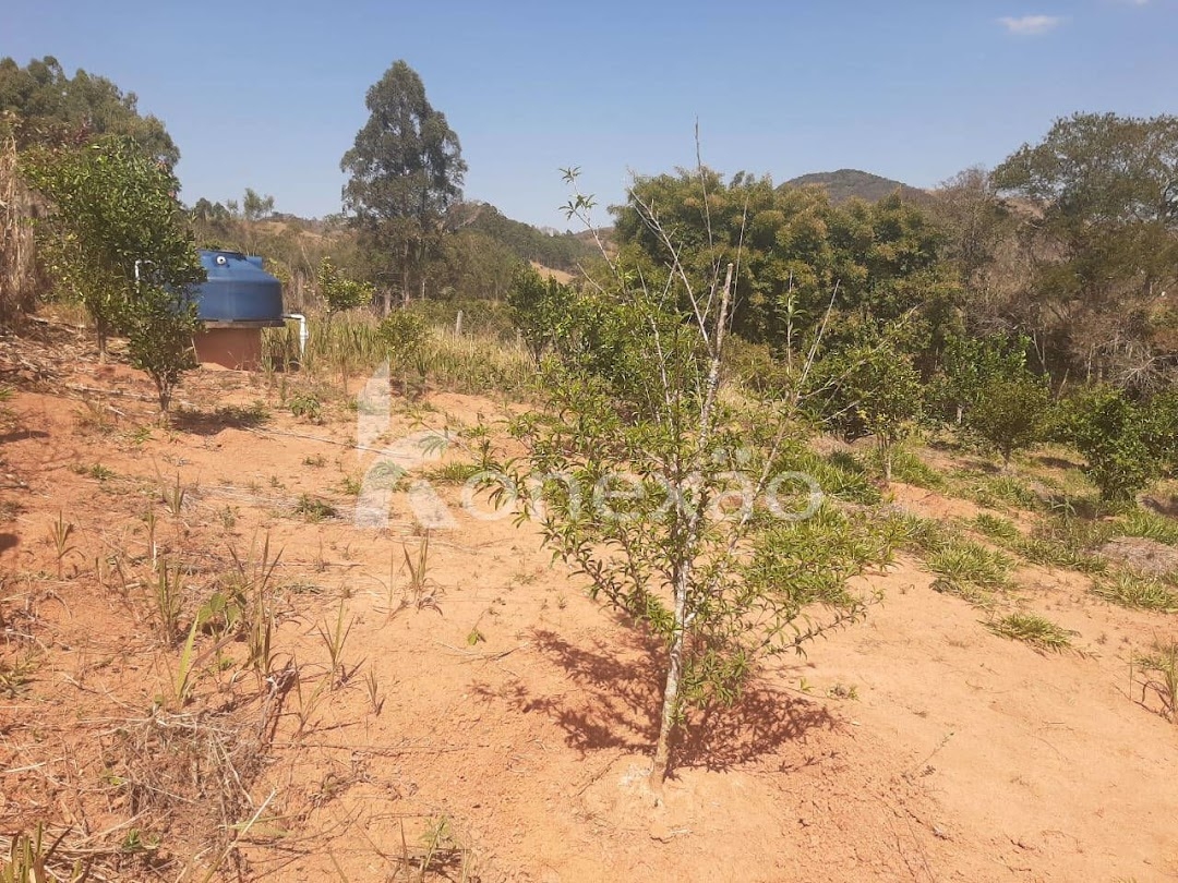 Chácara, 2 quartos, 150 m² - Foto 4