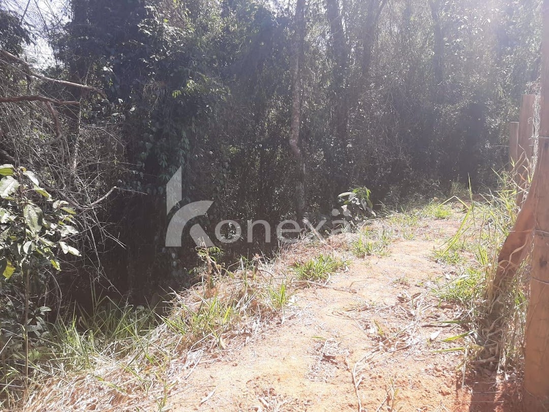 Chácara em Paraibuna/São Paulo — Ref ERZPNF — Imagem 17